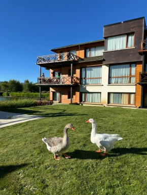 Villa Ober Suites - BARILOCHE